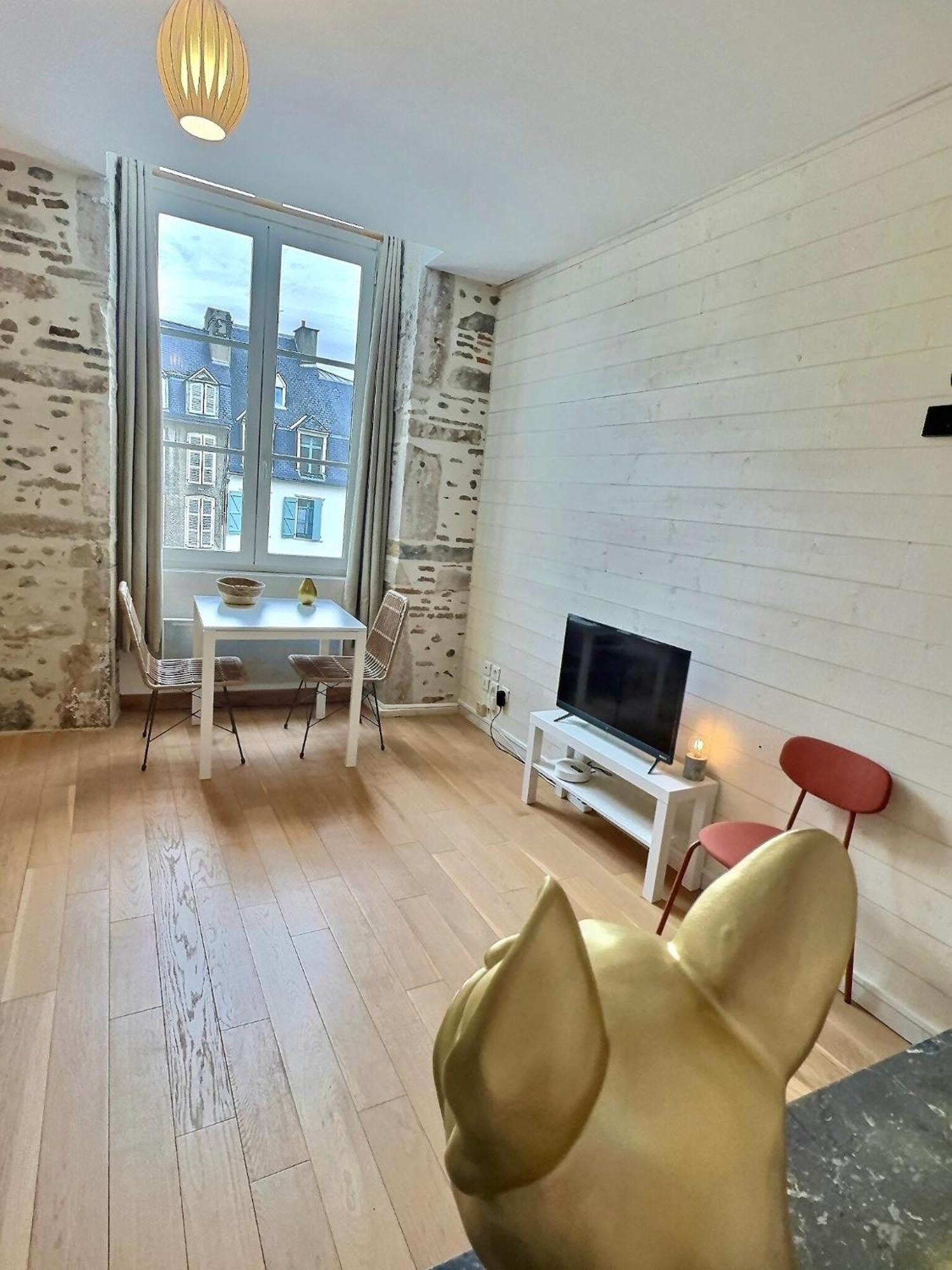 Wonderhost, Bois Et Pierre En Coeur De Appartement Pau